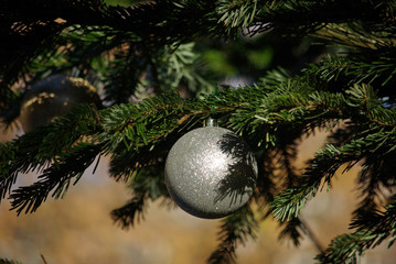 Boule de Noël argentée dans sapin vert