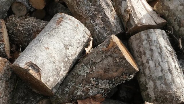 Tilting on stack of split firewood 4K 2160p 30fps UltraHD footage - Pile of firewood made of tree logs close-up slow tilt 3840X2160 UHD video