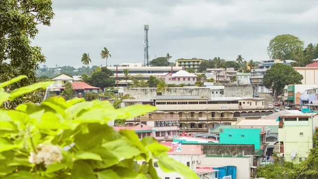 Fiji Overlooking Capital City of Suva Downtown Buildings on Hillside with Tropical Green Plants in Foreground