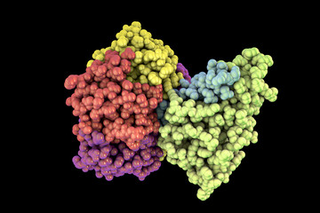 Molecular model of cholera toxin choleragen, 3D illustration. A toxin produced by bacterium Vibrio cholerae that plays crucial role in cholera disease