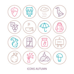 Big collection of linear icons with different autumn and fall symbols. Vector line icon series. Squirrel, umbrella, rain, mushroom,  and other seasonal elements.