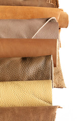leather brown shades isolated on white background. vertical row