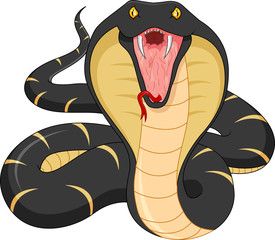 Fototapeta premium angry snake cartoon