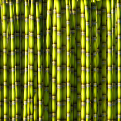 Green sugar cane.