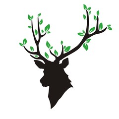 голова оленя