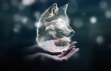 Abwaschbare Fototapete Wolf Person, die fraktale gefährdete Wolfsillustration hält 3D-Rendering