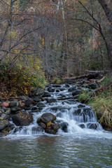 Fototapeta na wymiar Oak Creek flows under a Canopy of Fall colors in Sedona 