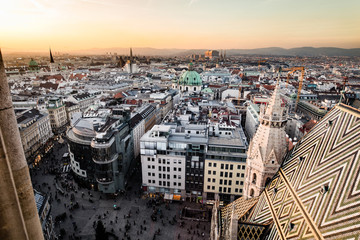 Wien city skyline as seen from the top of St. Stephan dome - obrazy, fototapety, plakaty
