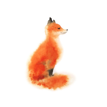 Watercolor red fluffy sitting fox on white. Playing foxy. Hand drawn illustration.