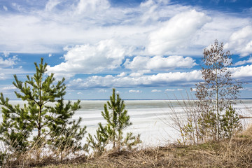 Spring landscape on the Siberian river