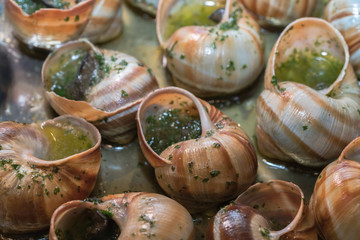 Escargots
