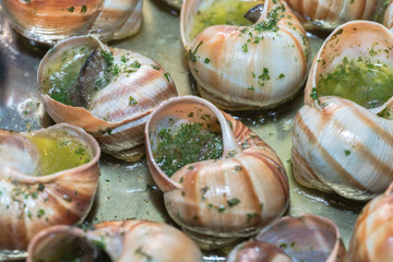 Escargots

