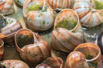 Escargots
