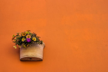 Kapstadt, Hausfassade