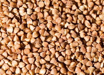 buckwheat as background