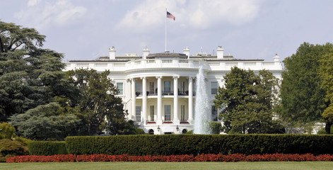 The White House / The White House in Washington, DC