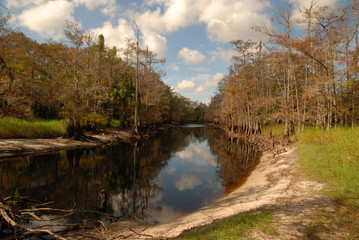 South Florida Landscapes / View of the south central landscape of southern Florida