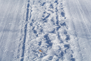 winter road in landscape