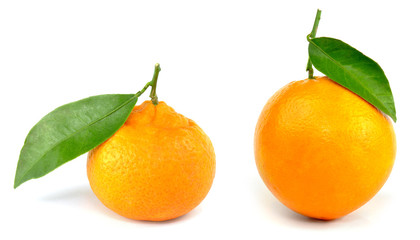 Mandarine and orange