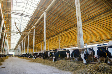 Modern farm barn © lanarusfoto
