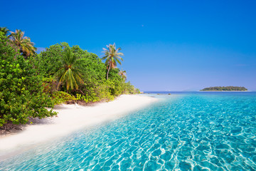 Tropisch eiland met zandstrand, lagune en palmbomen