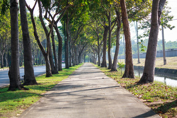 Obraz premium The footpath is between the colonnade