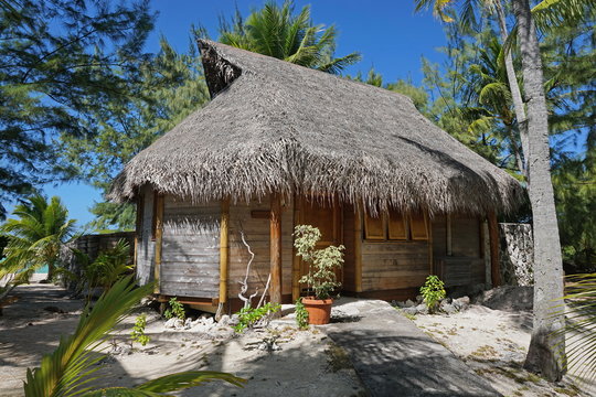 Wooden tropical bungalow with thatched roof on a motu of the atoll of Tikehau, Tuamotu, French Polynesia, south Pacific