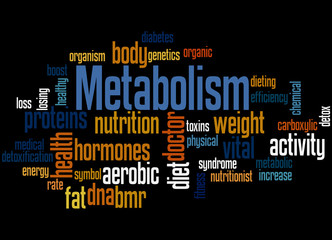 Metabolism, word cloud concept 5