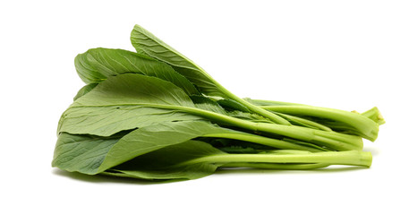 Fresh Green Vegetable Chinese Leaf Cabbage on White Background