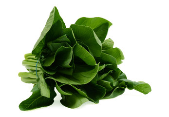 Fresh Green Vegetable Chinese Leaf Cabbage on White Background