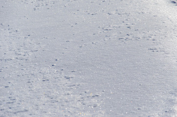 Texture of the white fluffy snow