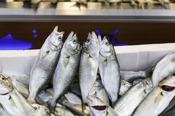 Fototapeta premium Fresh fishes at the market