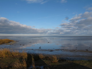 coast/beach in Denmark - St. Sjørup