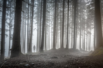 Homme randonnée à travers une forêt brumeuse
