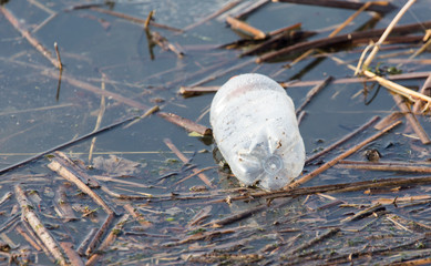 Bottle in the lake as rubbish