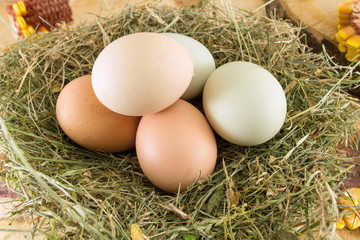 Raw chicken eggs in a nest