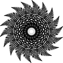 exquisite mandala pattern design in black and white