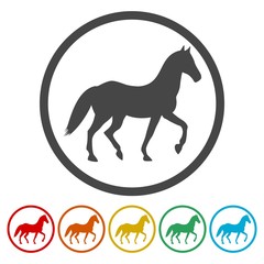 Horse silhouette icons set 