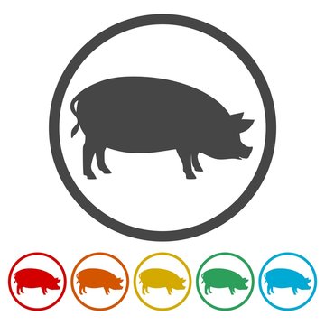 Silhouette of pig icons set 