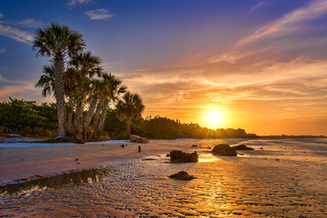 Naklejka premium Sunrise at Bunche Beach Preserve