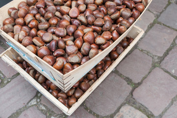 caisses de châtaignes au marché