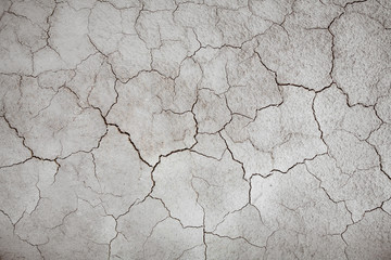 Cracked pale brown dry soil.