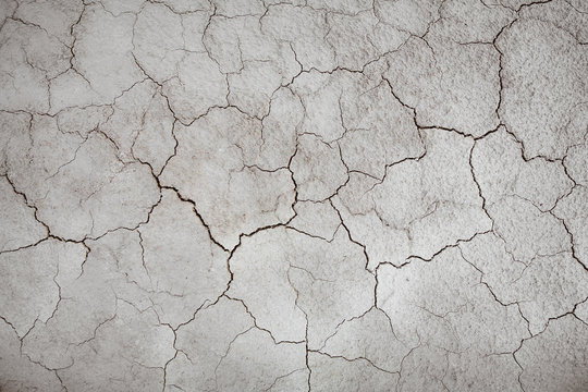 Cracked pale brown dry soil.