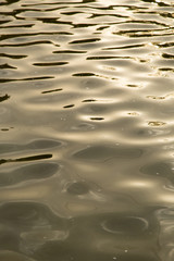 background of yellow surface of the water