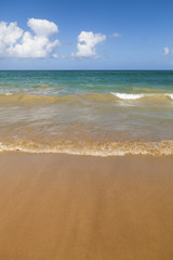 Fototapeta na wymiar Tropical Caribbean beach with sand water and blue sky. Shot in Puerto Rico.