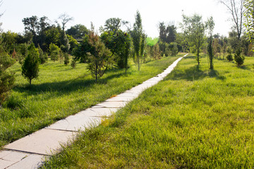 Trail in a park on the nature