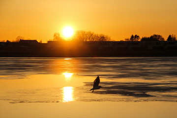 Naklejka na ściany i meble sunset on winter lake