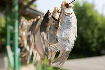 sun-dried salted fish in the air