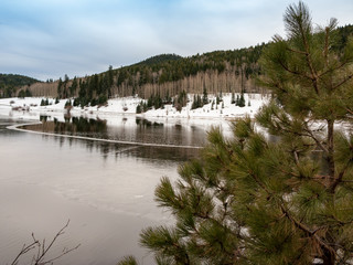 Frozen Lake and Trees in Winter