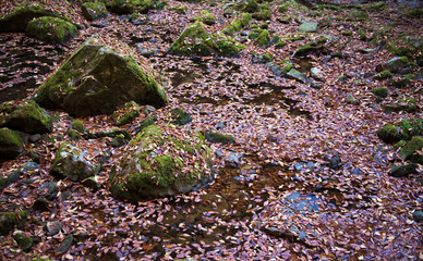 Akame Creek in Nabari, Mie, Japan